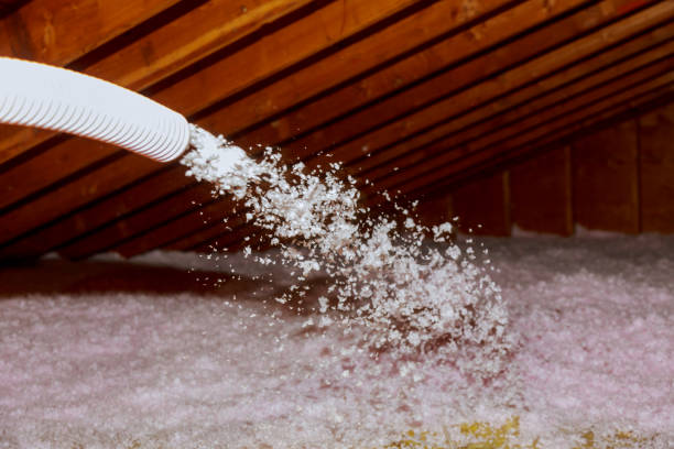 Best Geographic-Specific Insulation Services in Brooklyn, IA