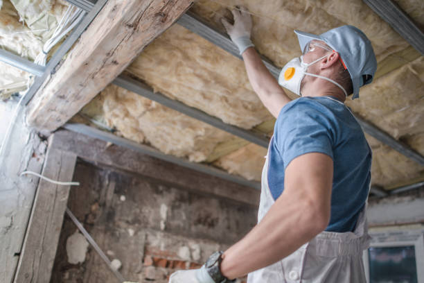Best Specialized Insulation Services in Brooklyn, IA