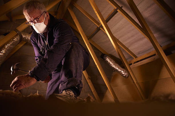 Best Eco-Friendly Insulation in Brooklyn, IA
